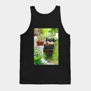 Harvest time, apples in plastic basket on vintage wooden terrace Tank Top